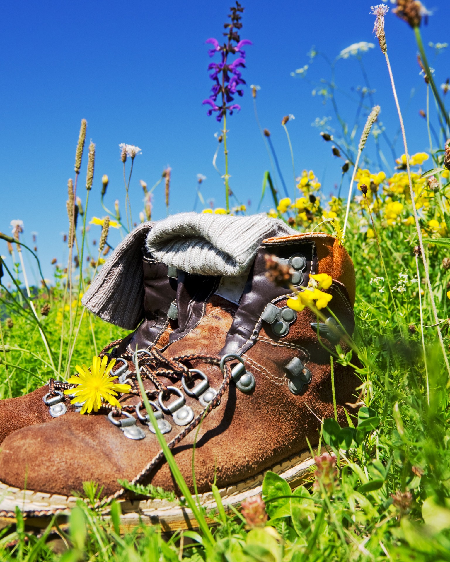 Wanderschuhe auf der Wiese