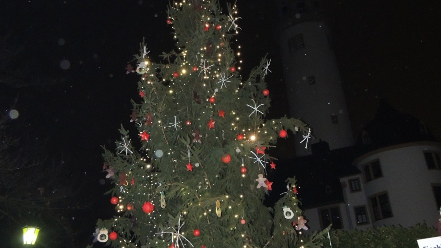 Weihnachtsbaum vor dem Höchster Schloß